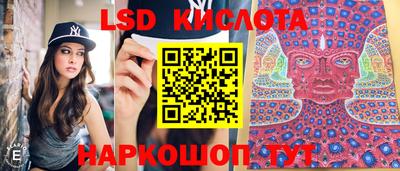 Альфа ПВП Камышлов