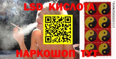 Альфа ПВП Камышлов