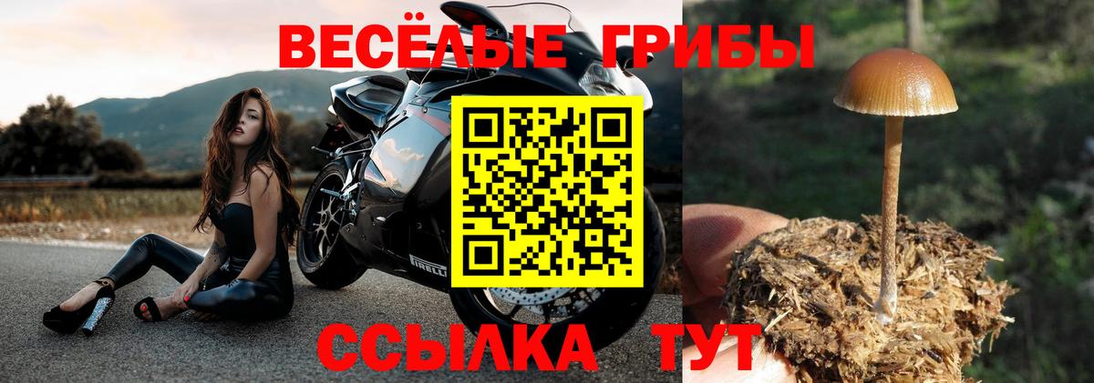 Галлюциногенные грибы Cubensis Краснодар