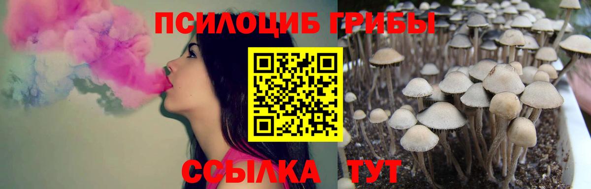 Галлюциногенные грибы Psilocybine cubensis  Вход с VPN  Краснодар  Галлюциногенные грибы Psilocybine cubensis 